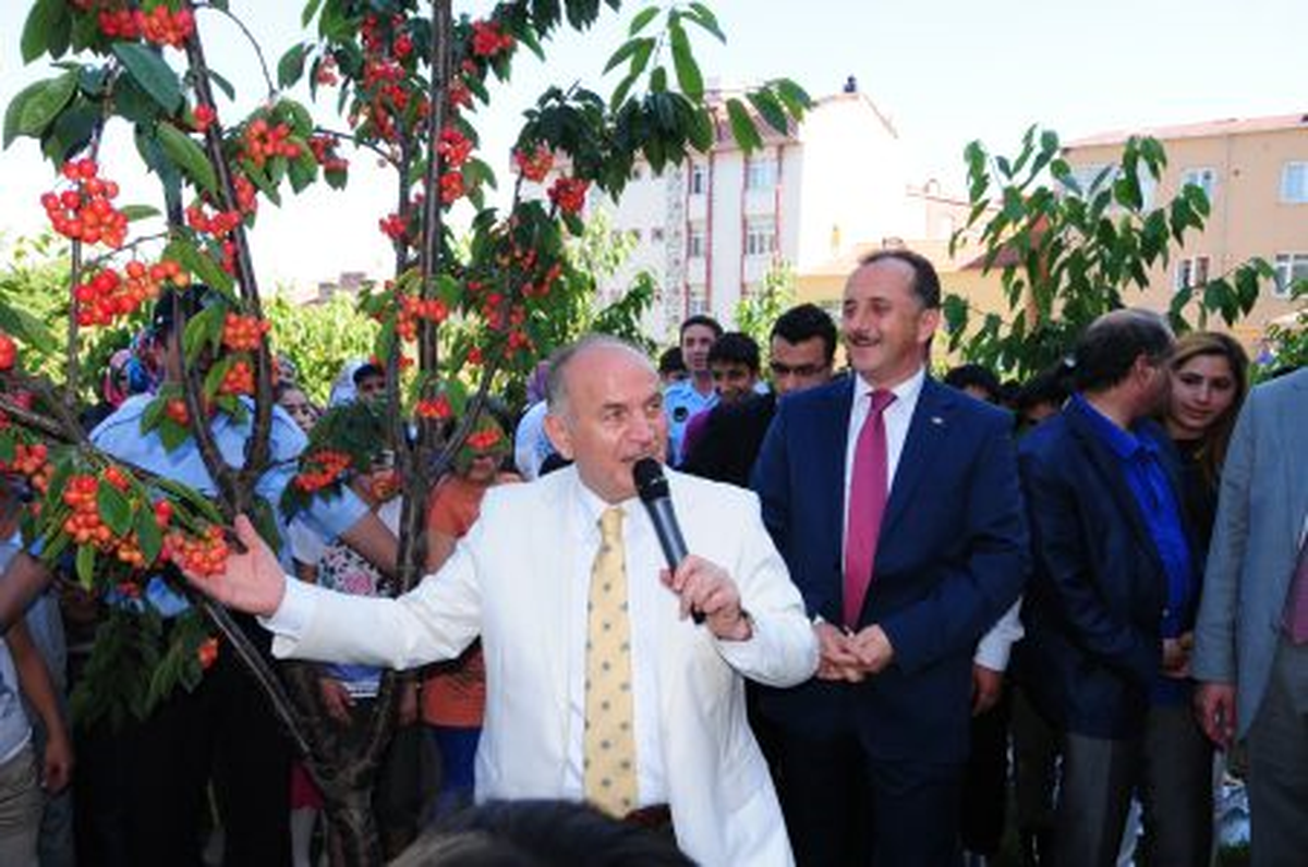 Bağcılar\'da Kiraz Festivali