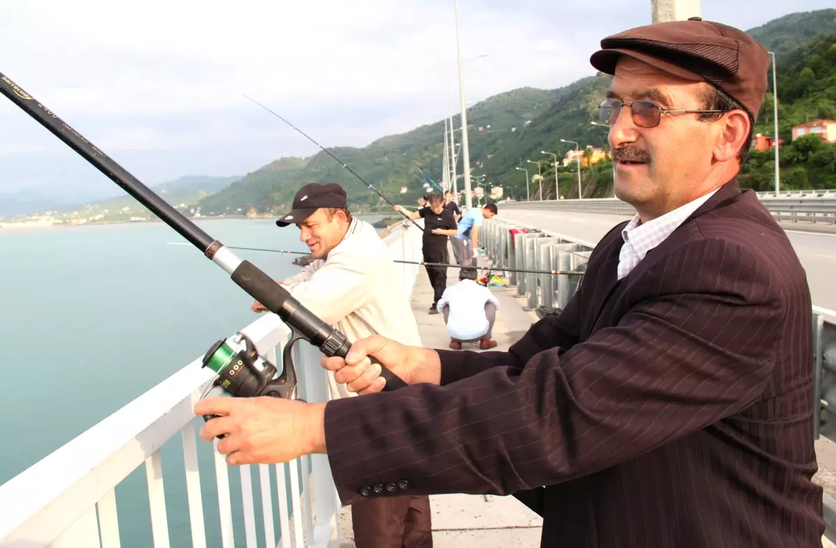 Espiye\'nin Gülburnu Viyadüğü Galata Köprüsü\'nü Aratmıyor