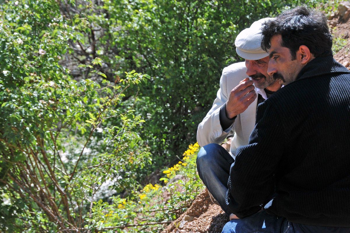 Gümüşhane\'de Harşit Çayı\'na Düşen Yaşlı Kadın Bulundu