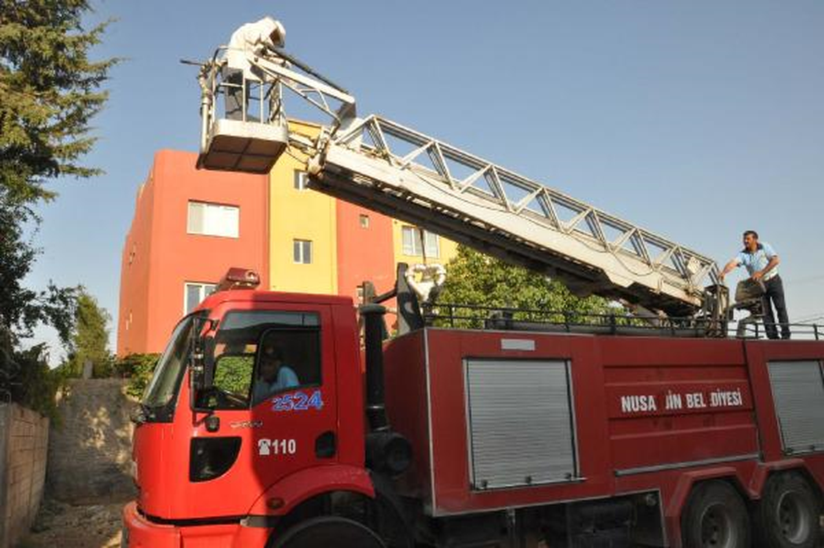 Kovandan Kaçan Arılarını Arazöz Yardımıyla Topladı