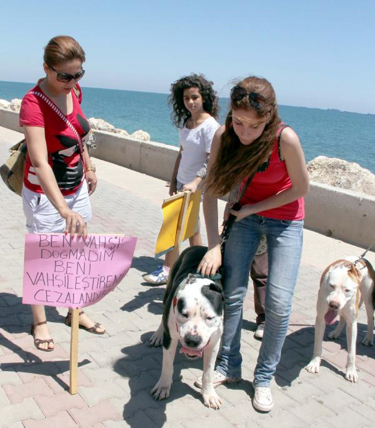 Pitbullar İçin Eylem Yaptılar