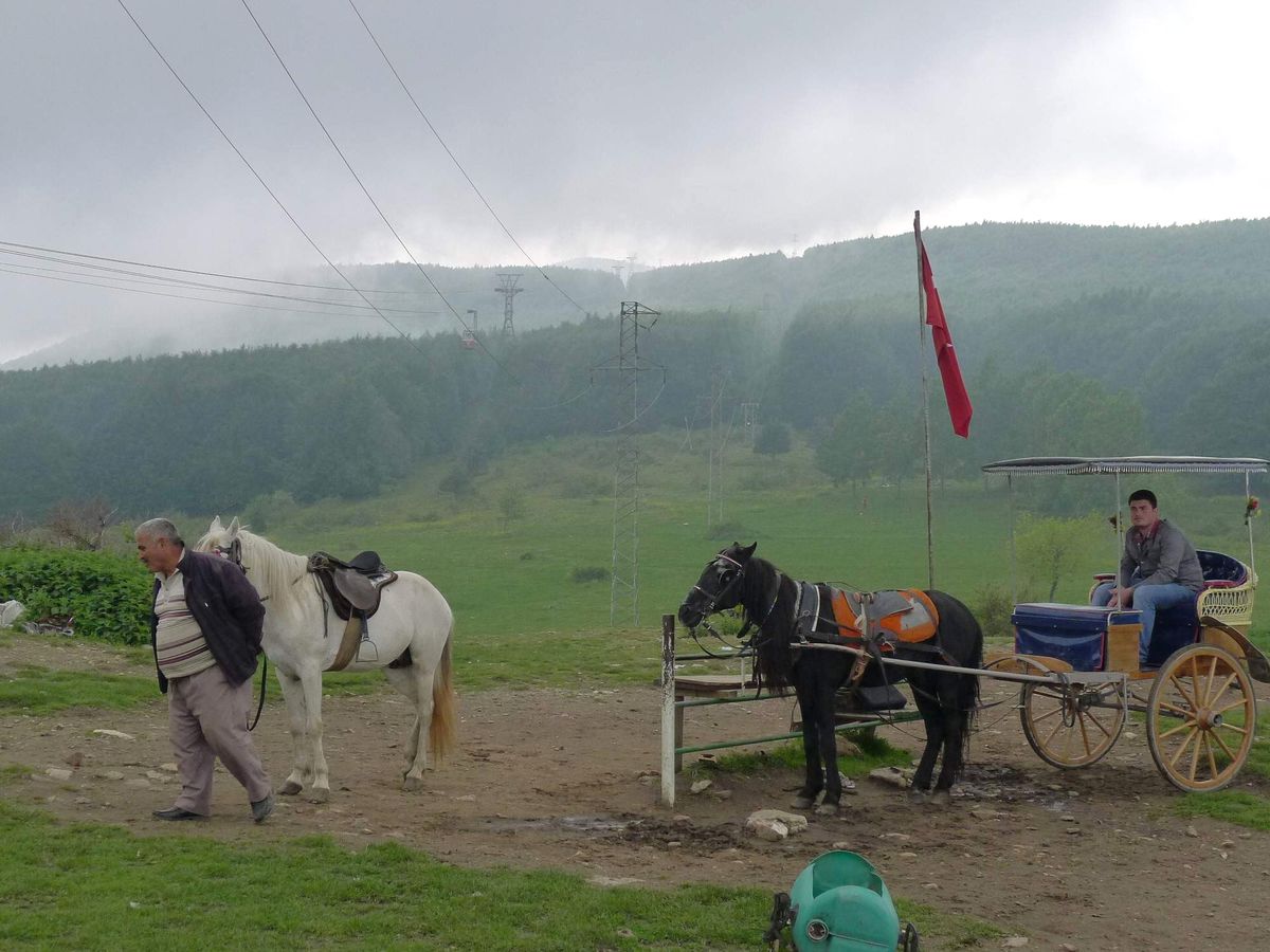 Uludağ\'da Ata Binen Turistler Serin Yaylaların Tadını Çıkarıyor