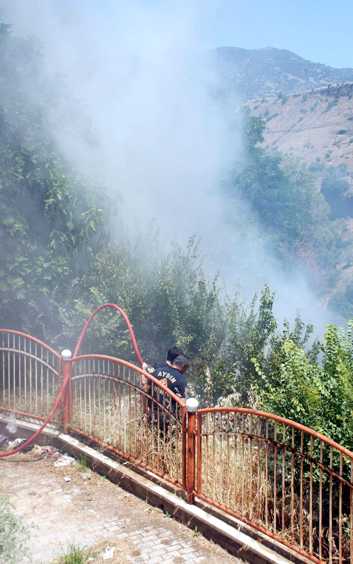 Aydın\'da Korkutan Yangın