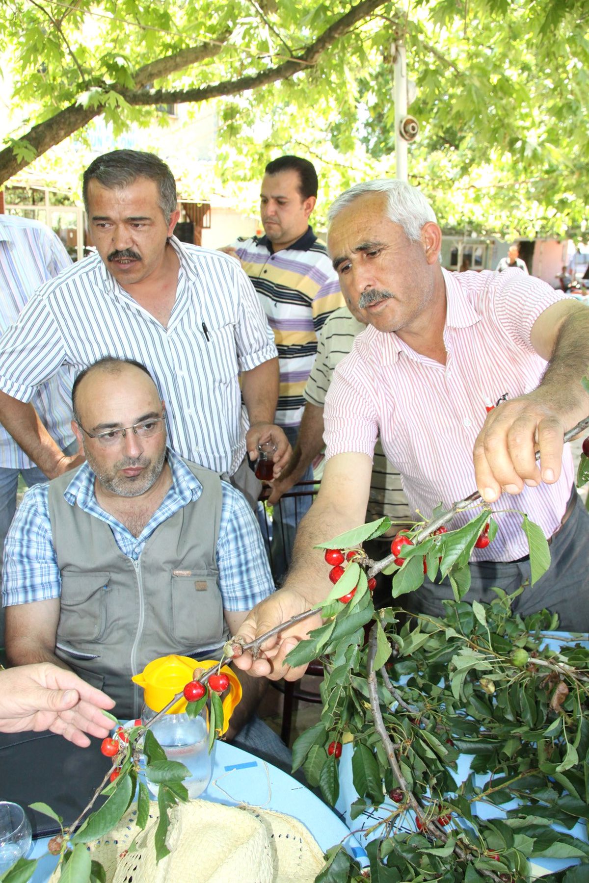 Milletvetili Şahin\'den Dolu Mağdurlarına Müjde