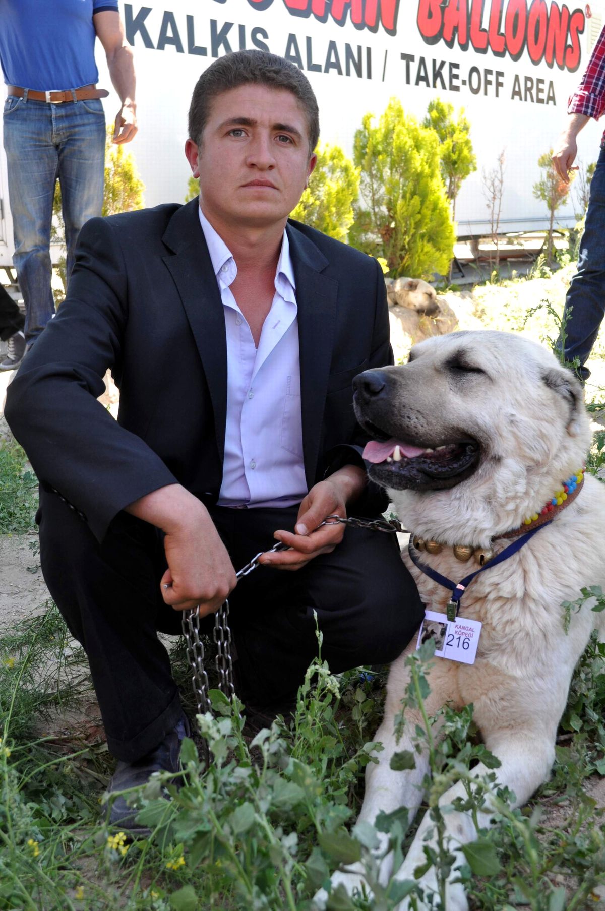 Nevşehir\'de Köpek Yarışması