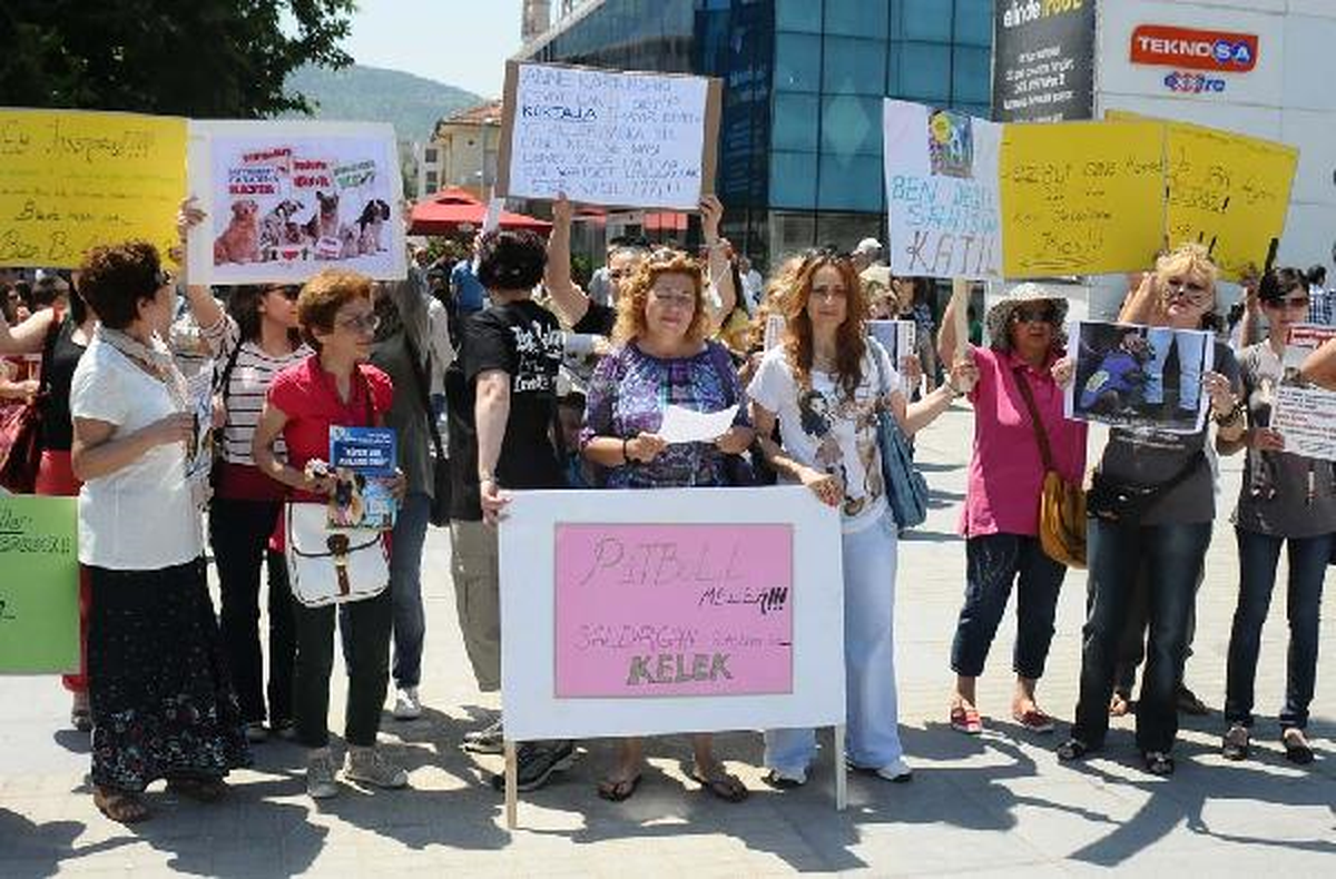 Pitbull\'ların Dövüş Köpeği Olarak Kullanılmaması İçin Yürüdüler