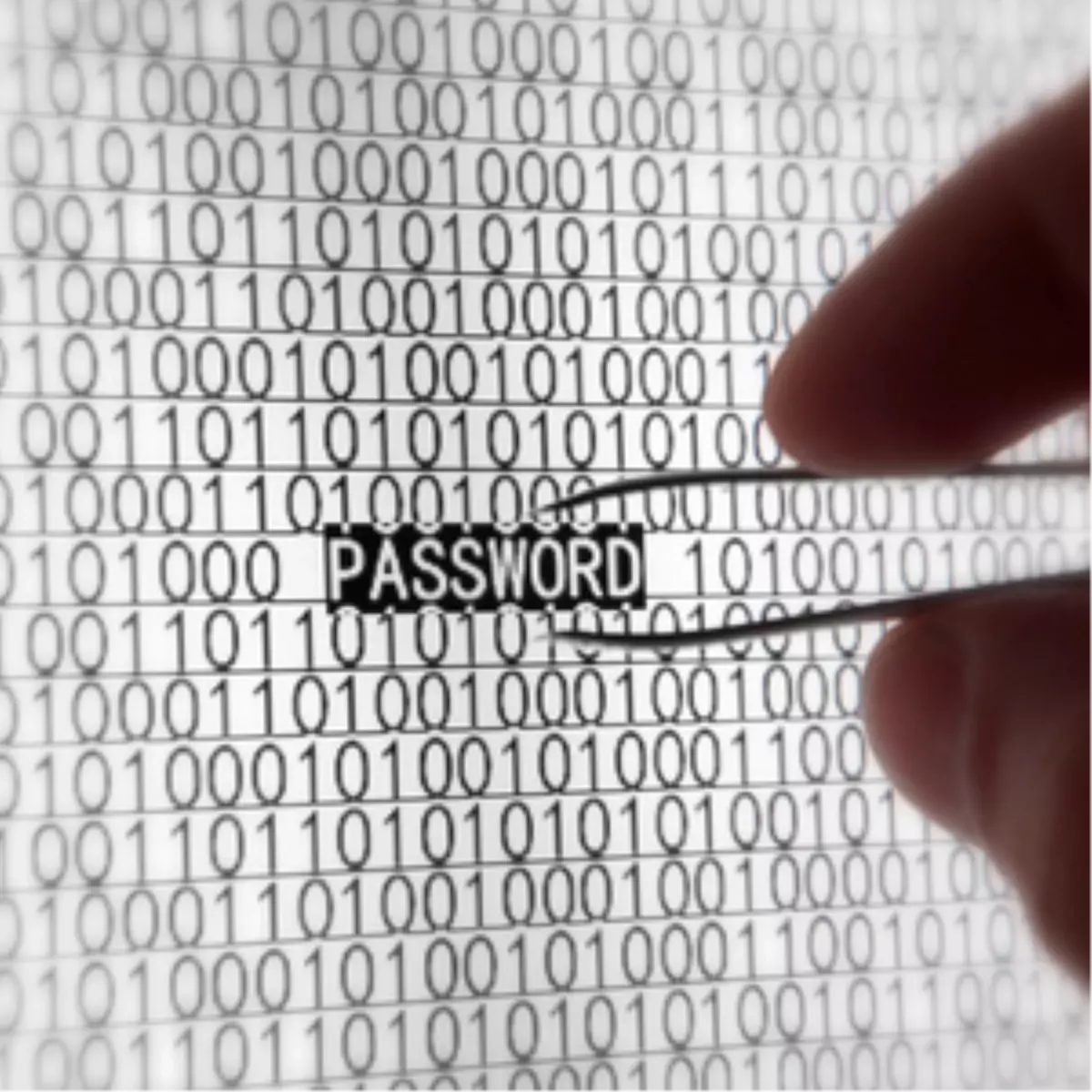 Şifre Kurbanı Olmayın!