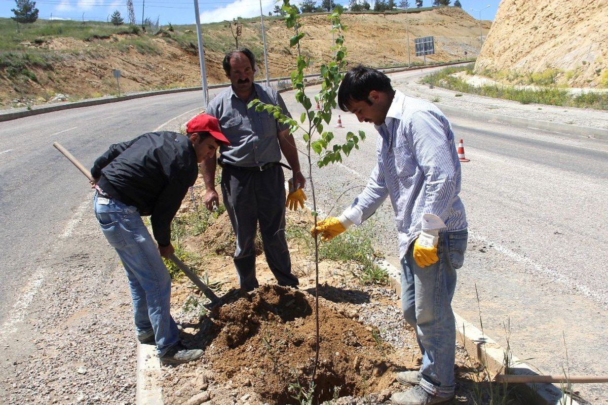 Ağaçlandırma Faaliyetleri, Kredi Yurtlar Kurumu'na Kadar Uzandı