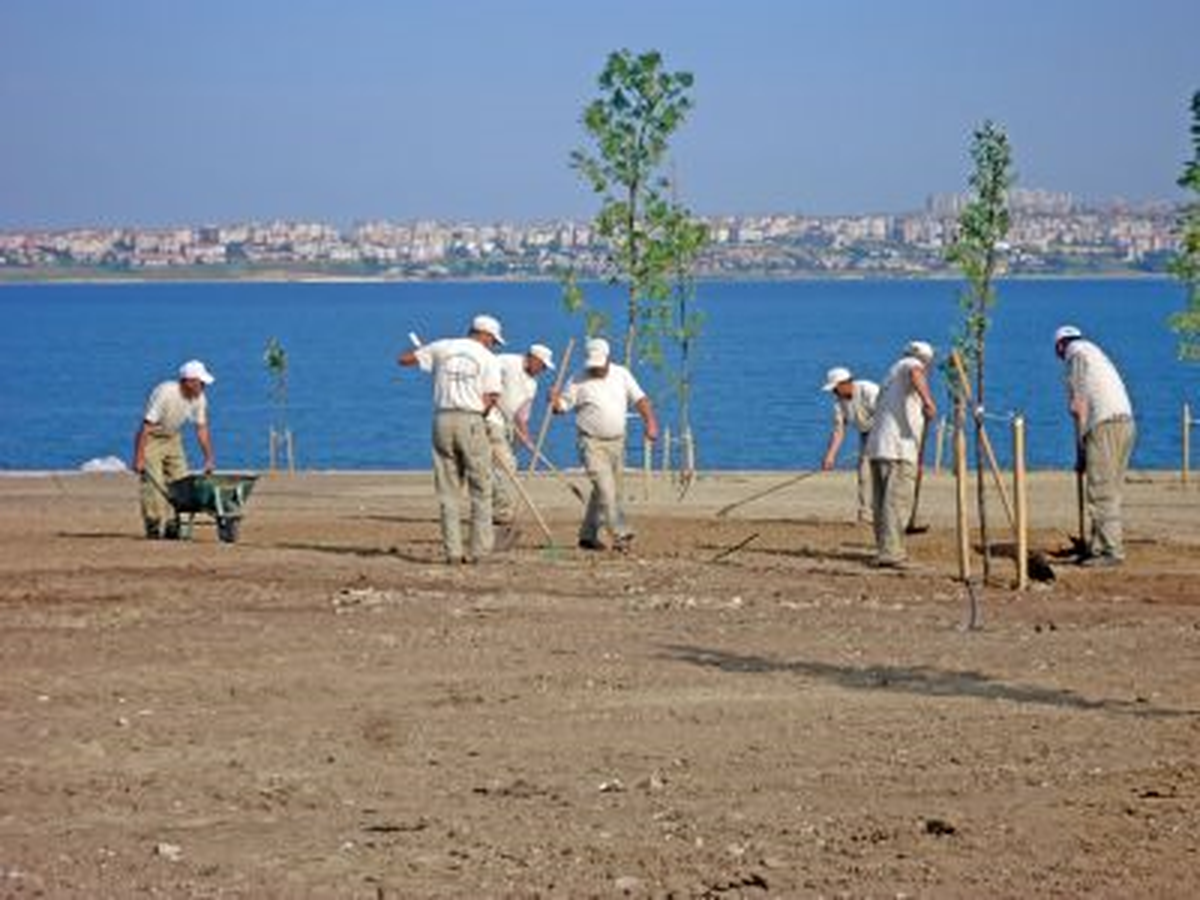 Beylikdüzü\'nde Piknik ve Deniz Keyfi Bir Arada!