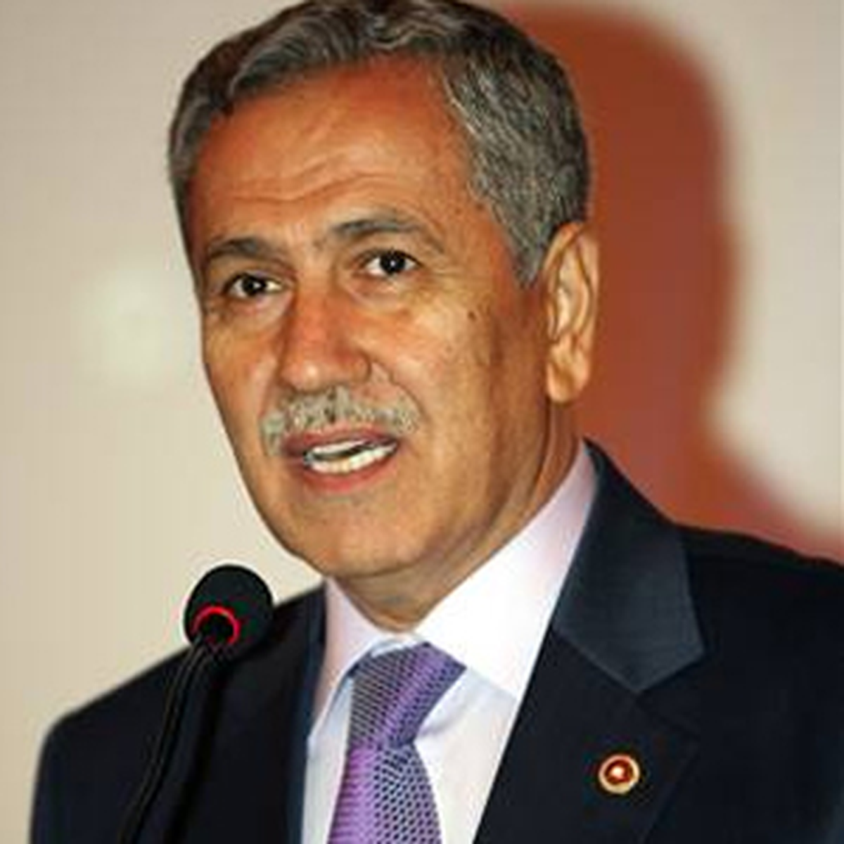 Bakanlar Kurulu, Ne Karara Vardı?