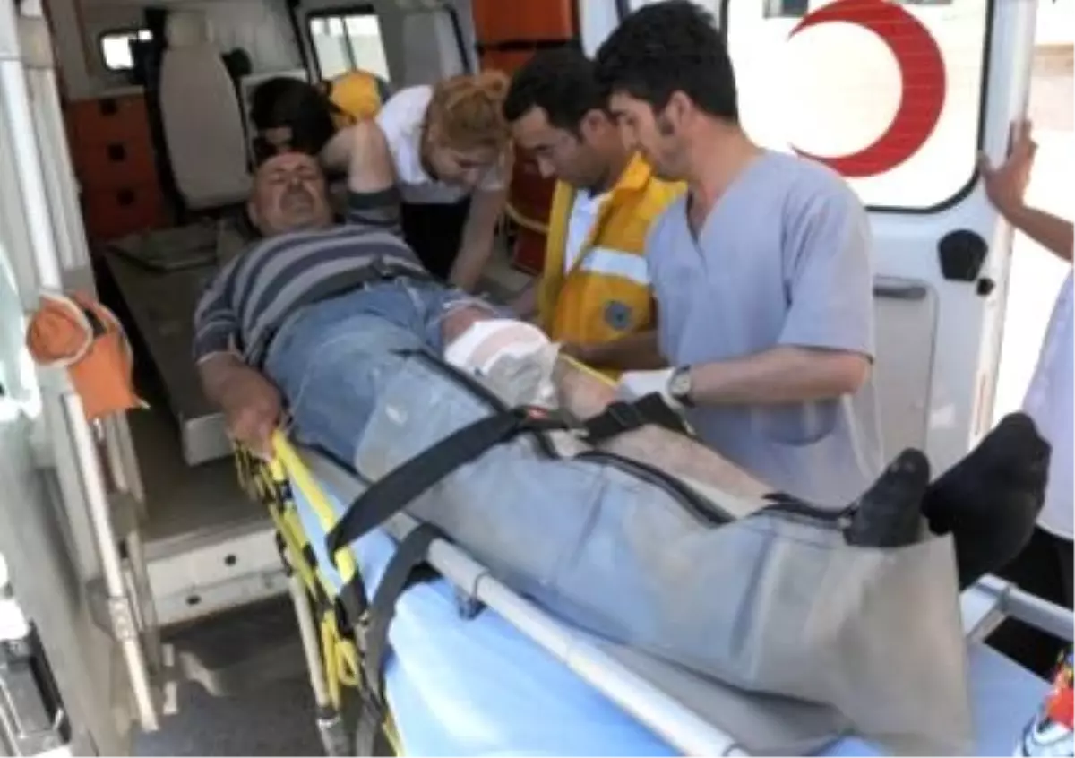 Tunceli\'de Ayı Saldırısı