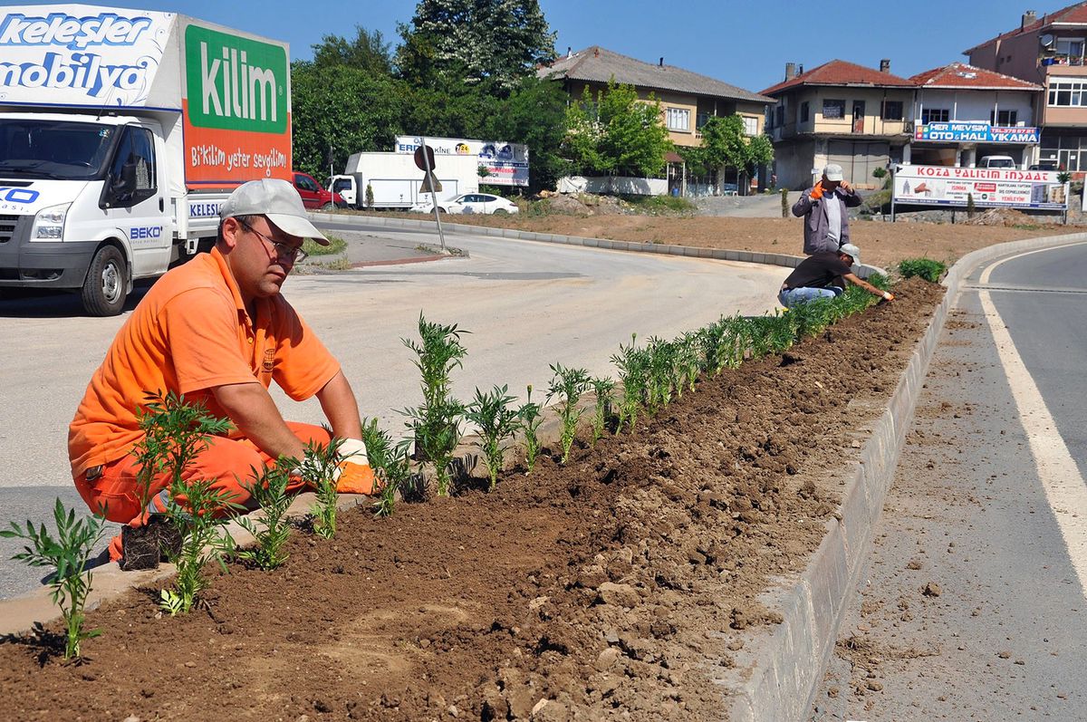 Alaplı Belediyesi\'nden Çiçeklendirme Çalışması