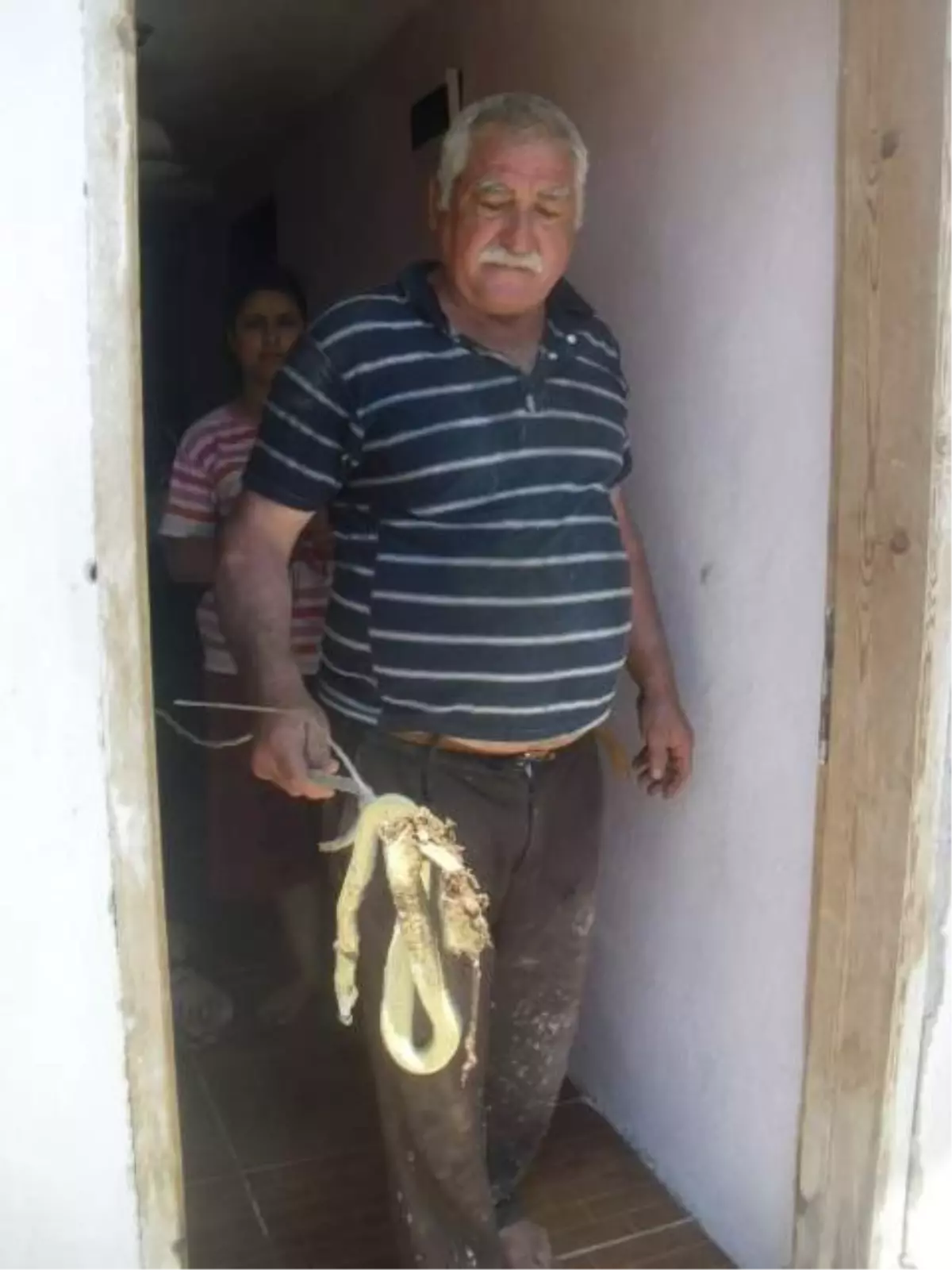 Evin Mutfağından İki Metrelik Yılan Çıktı