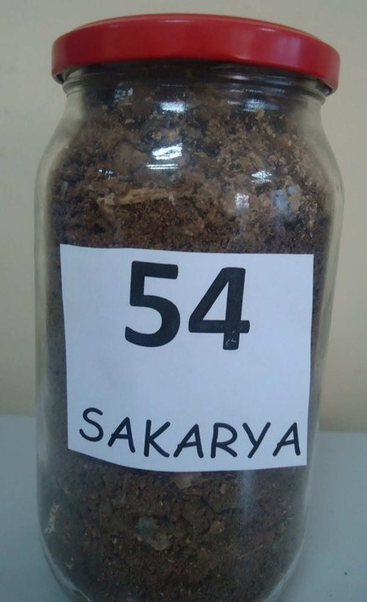 Gazinin Evine Sakarya\'dan Toprak