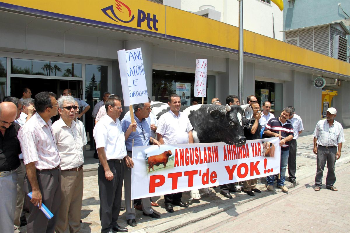 Havalandırma Sorununa "İnekli" Protesto