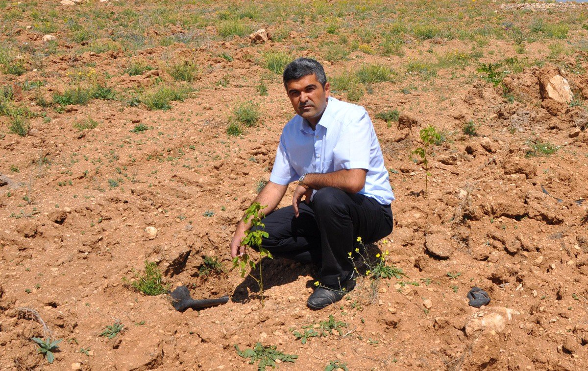 Karaman\'da Sağlık Ormanındaki Fidanlar Büyüyor