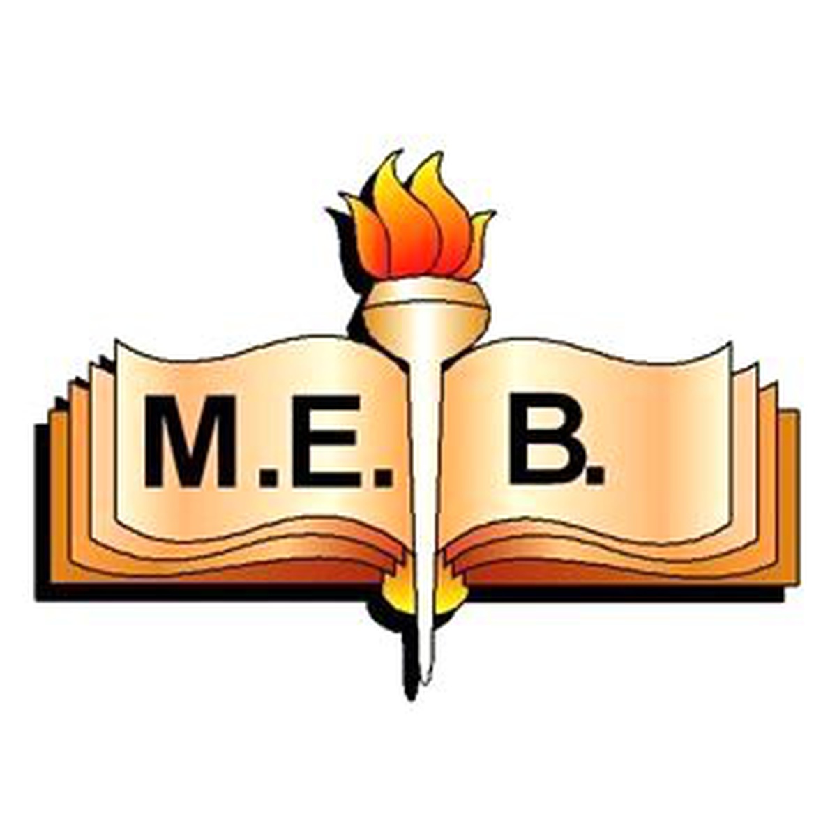 MEB\'in Çalışma Takvimi Belirlendi