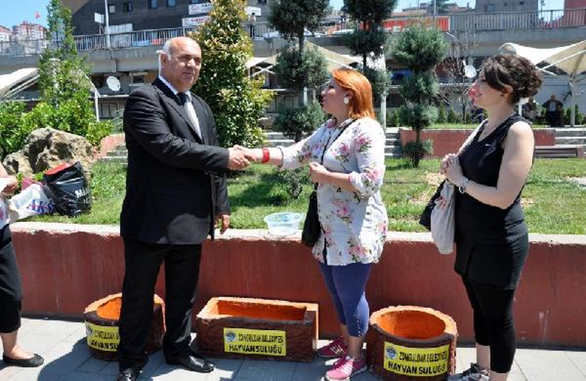 Sokak Hayvanları İçin Su Kabı