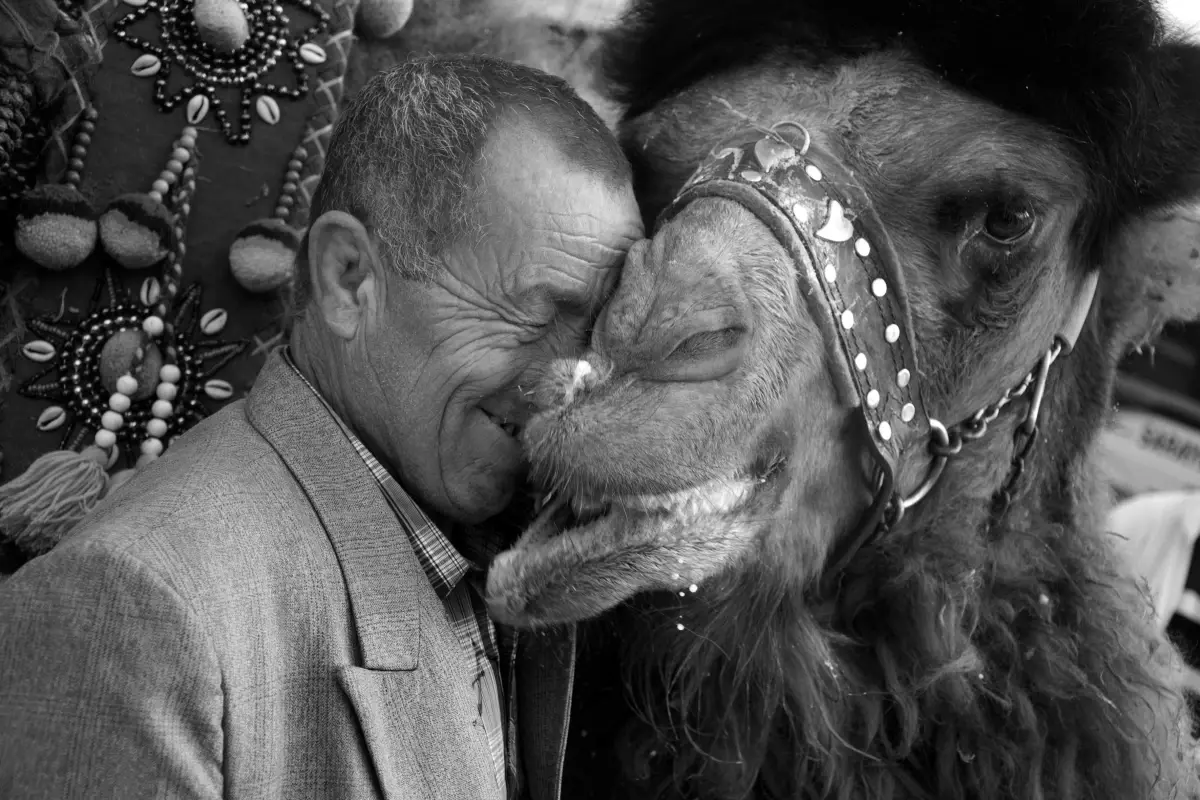 Uluslararası Fotoğraf Yarışması Sonuçlandı