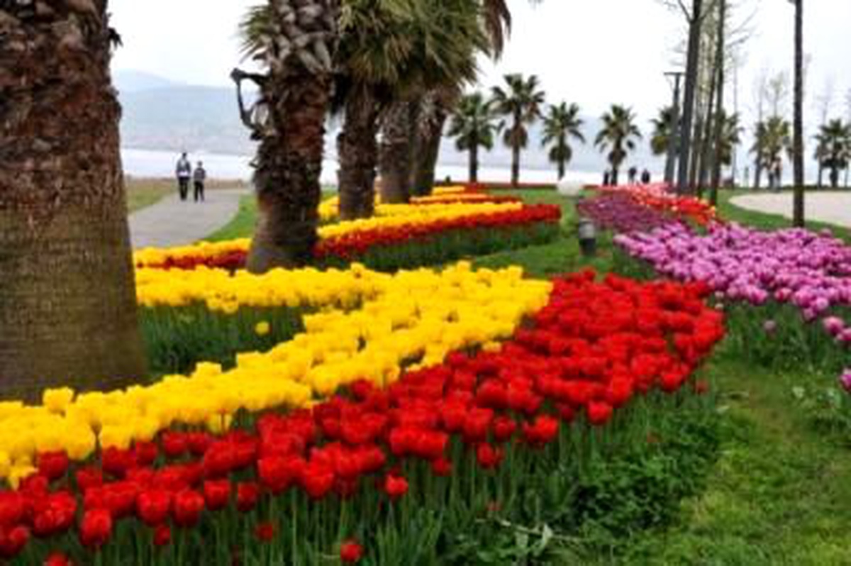 7. İstanbul Lale Festivali