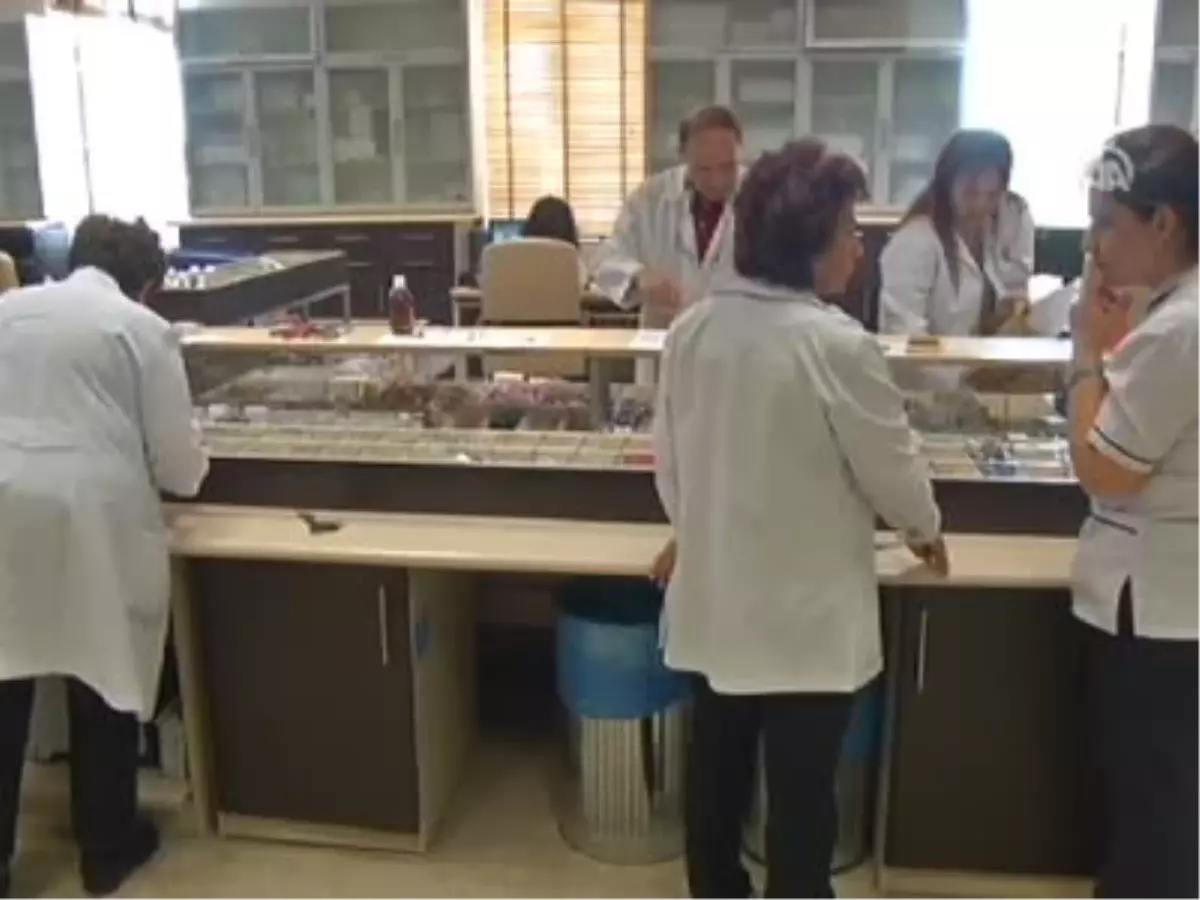 Akıllı İlaç Sistemiyle Tasarruf