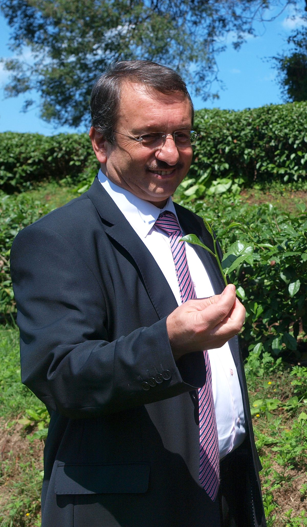 Çay Üreticisi Provakatif Eylemlere Kanmadı