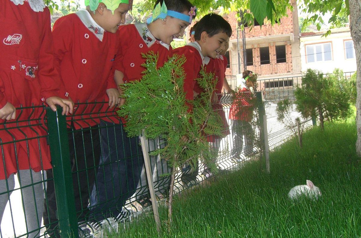 "Doğayla Gülelim Diye" Projesi Ülke Sınırlarını Aştı
