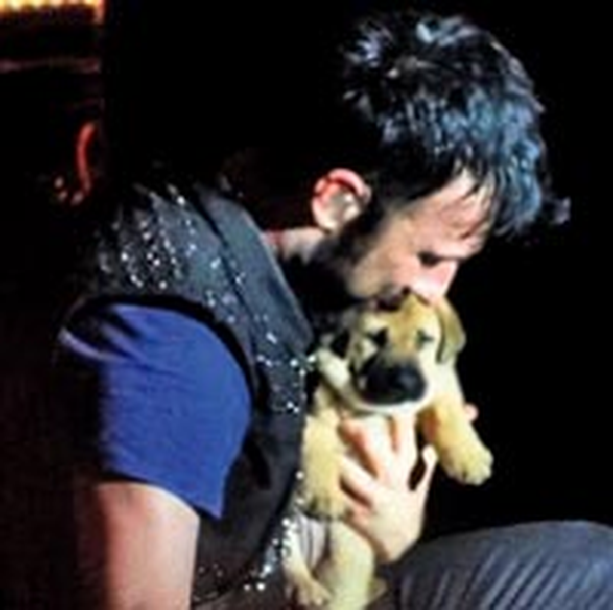 Hayvan Dostu Tarkan