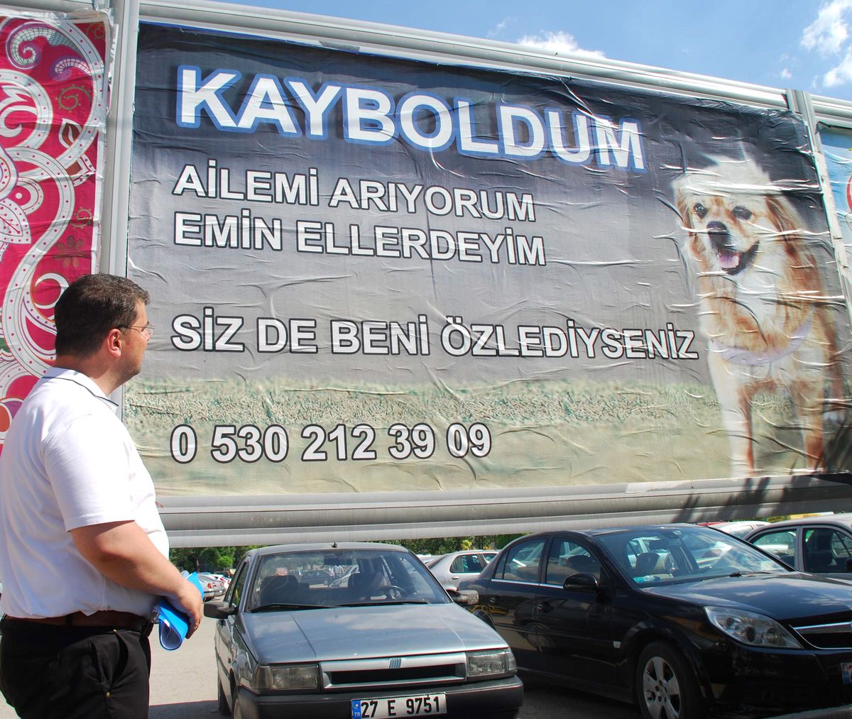 Kayıp Köpek İçin Billboardlı İlan