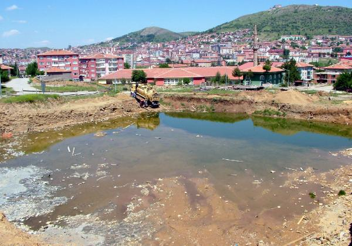 Mahallede Kurbağa Tedirginliği