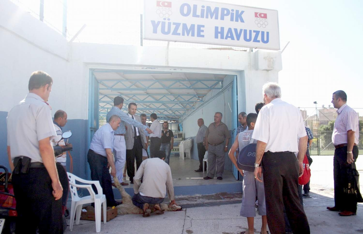 Olimpik Yüzme Havuzu Yaz Sezonuna Açıldı