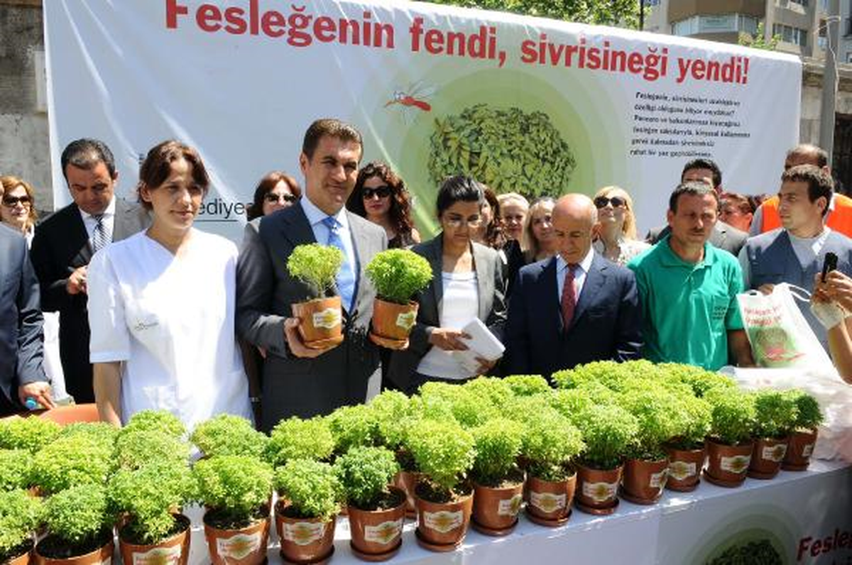 Sivrisineğe Fesleğenli Çözüm