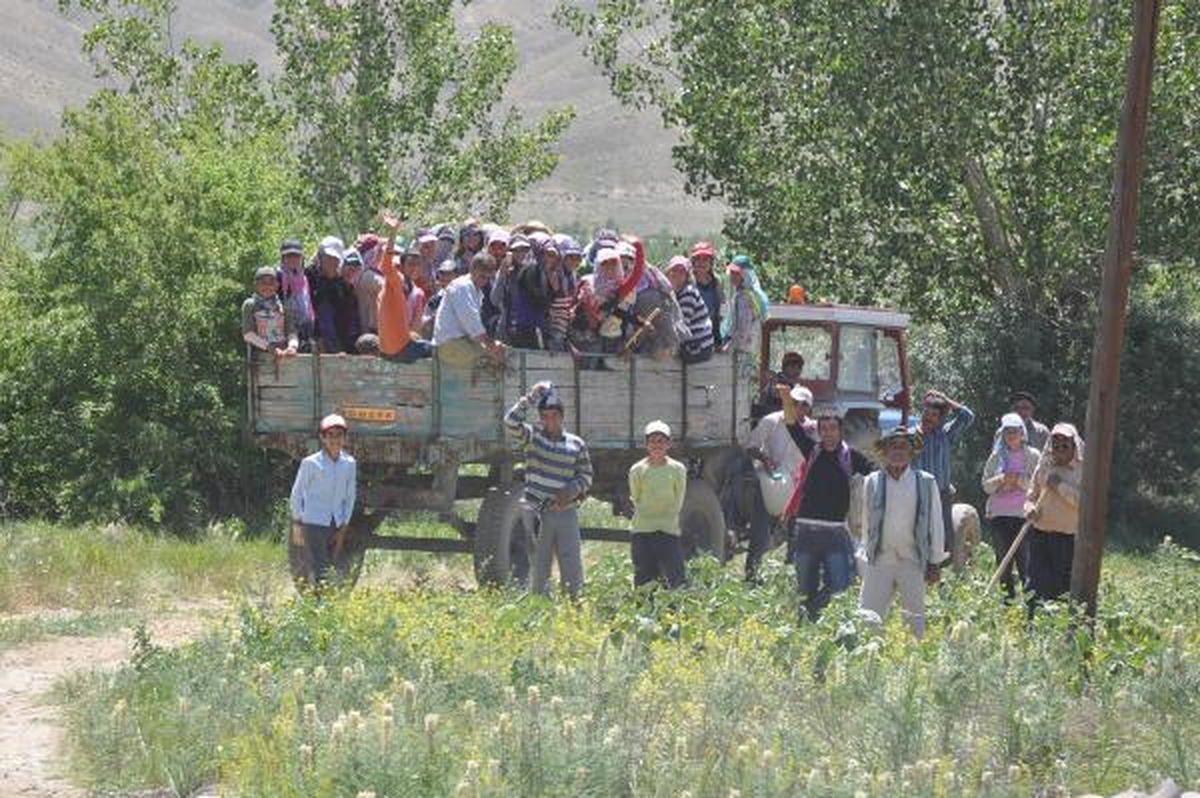 Tarım İşçilerinin Tehlikeli Yolculuğu