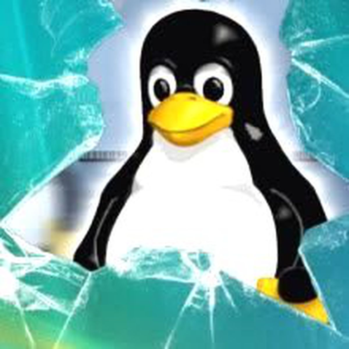 Windows 8\'e Linux yorumu