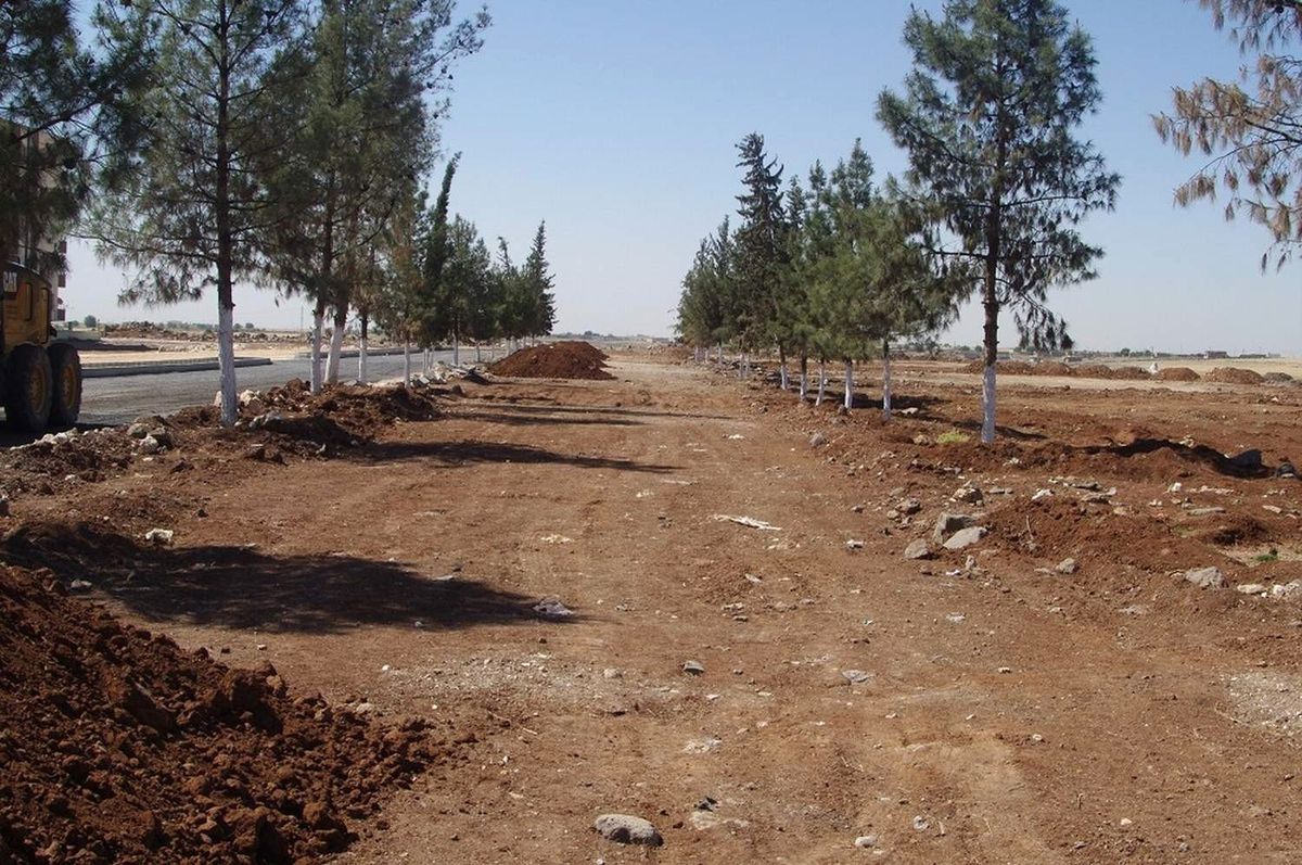 Curcup Deresi Ağaçlandırılıyor