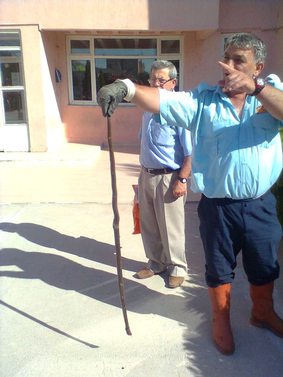 Okulda Yılan Operasyonu
