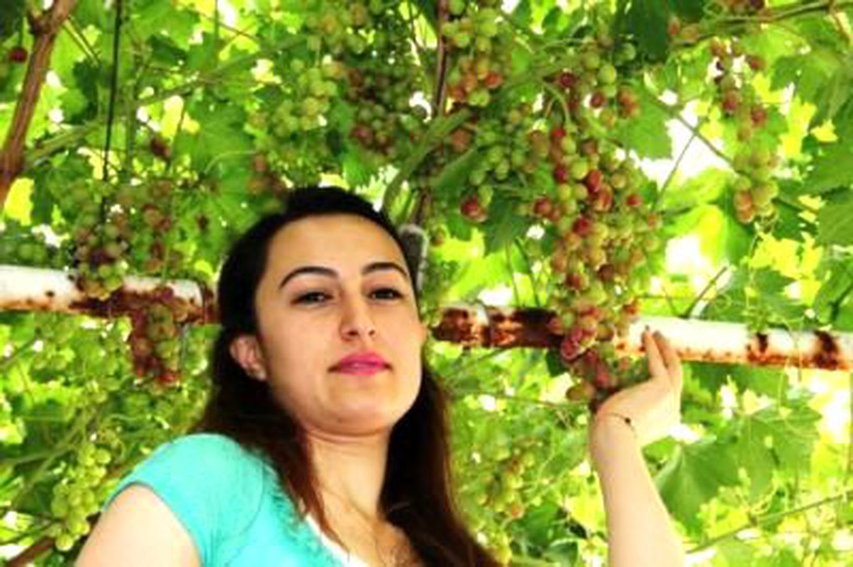 Sarıgöl\'de Haziran\'da Üzüm Yetiştirdi