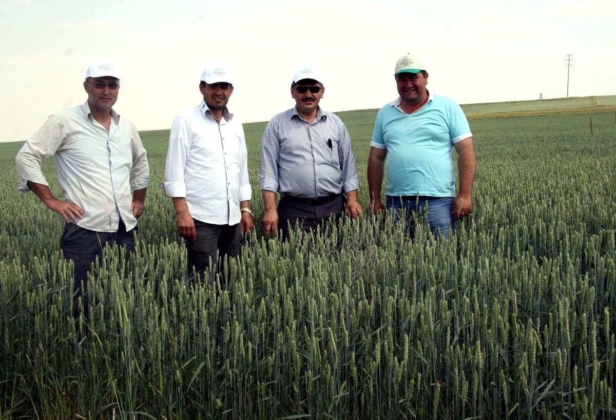 Tepebaşı Ziraat Odası Başkanı Süleyman Buluşan Yukarı Söğütönü Çiftçilerini Ziyaret Etti