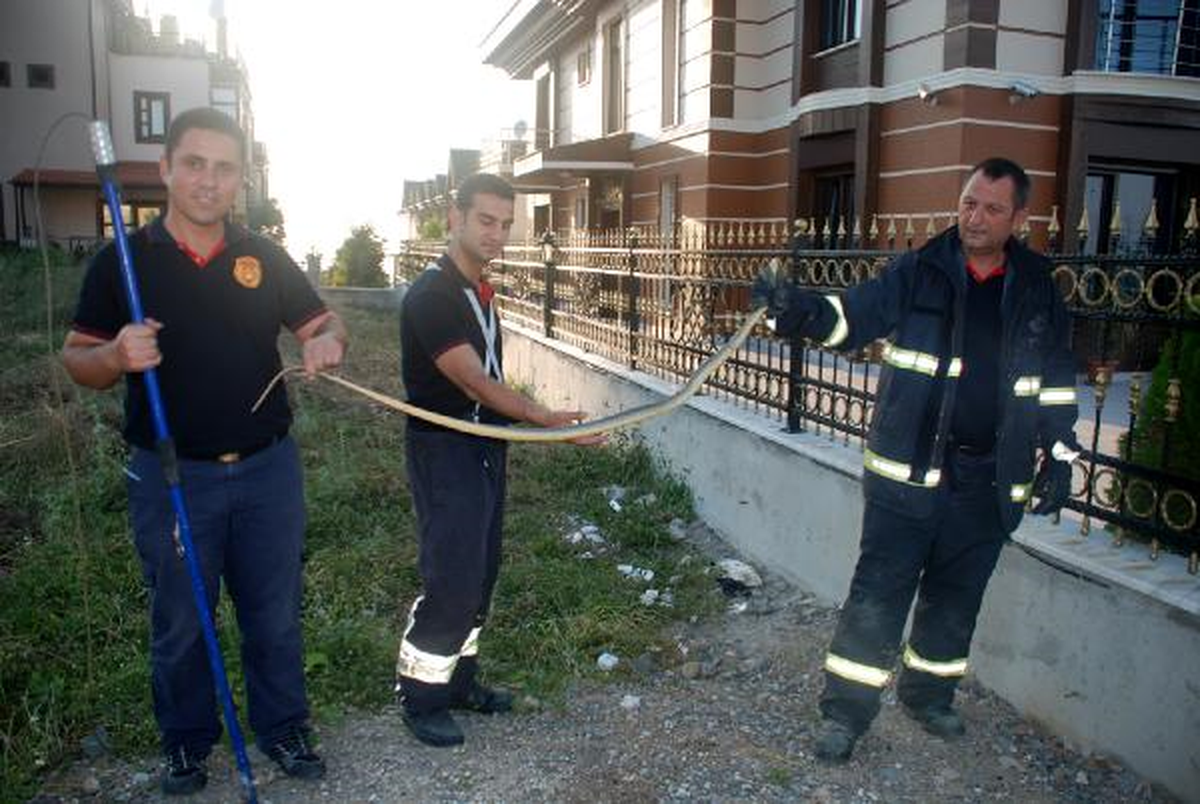 Yalova\'da Bu Kez Villa Bahçesinde Yılan Operasyonu