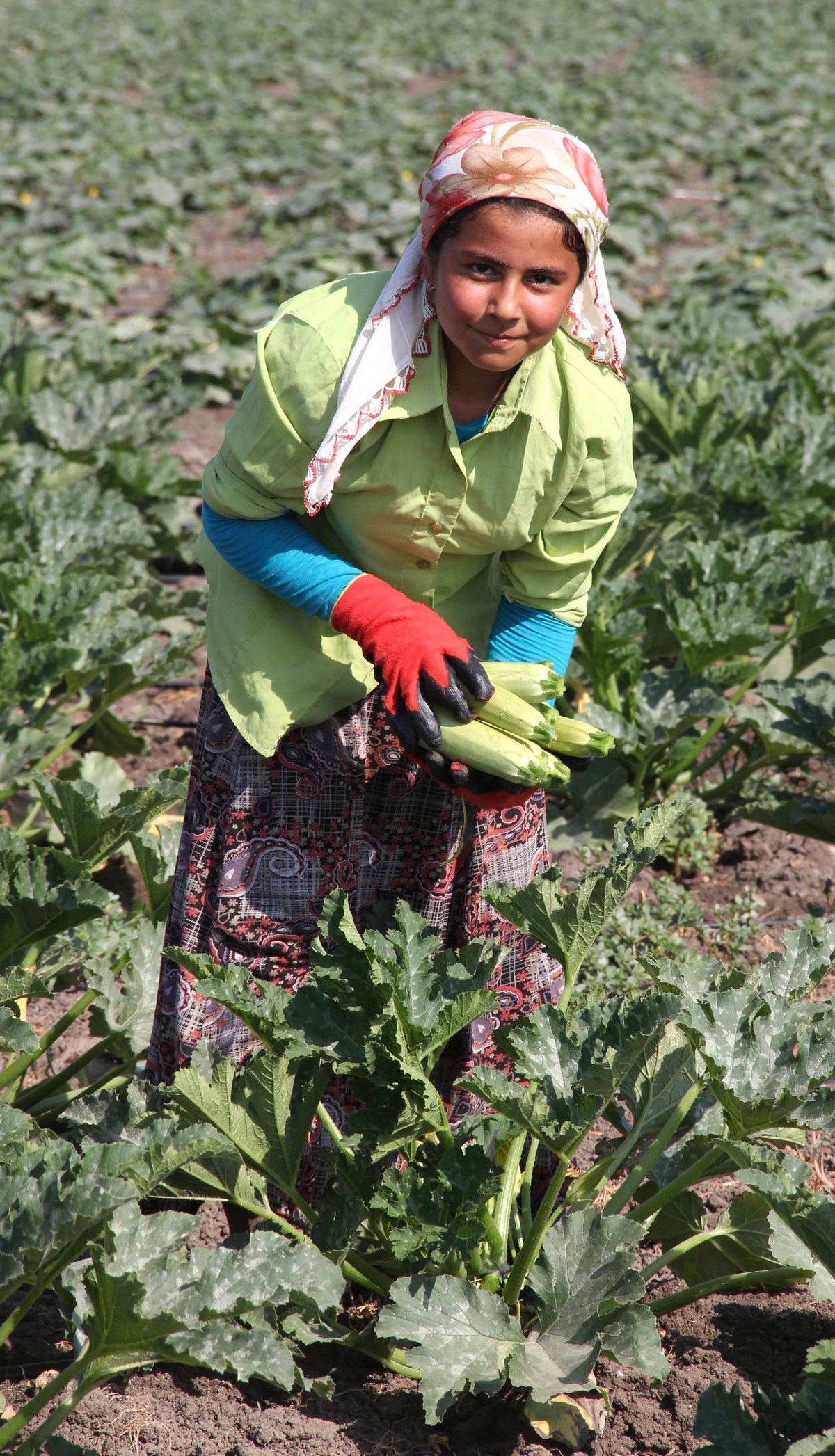 40 Derece Sıcakta Çocukların Tarlada Ekmek Mücadelesi