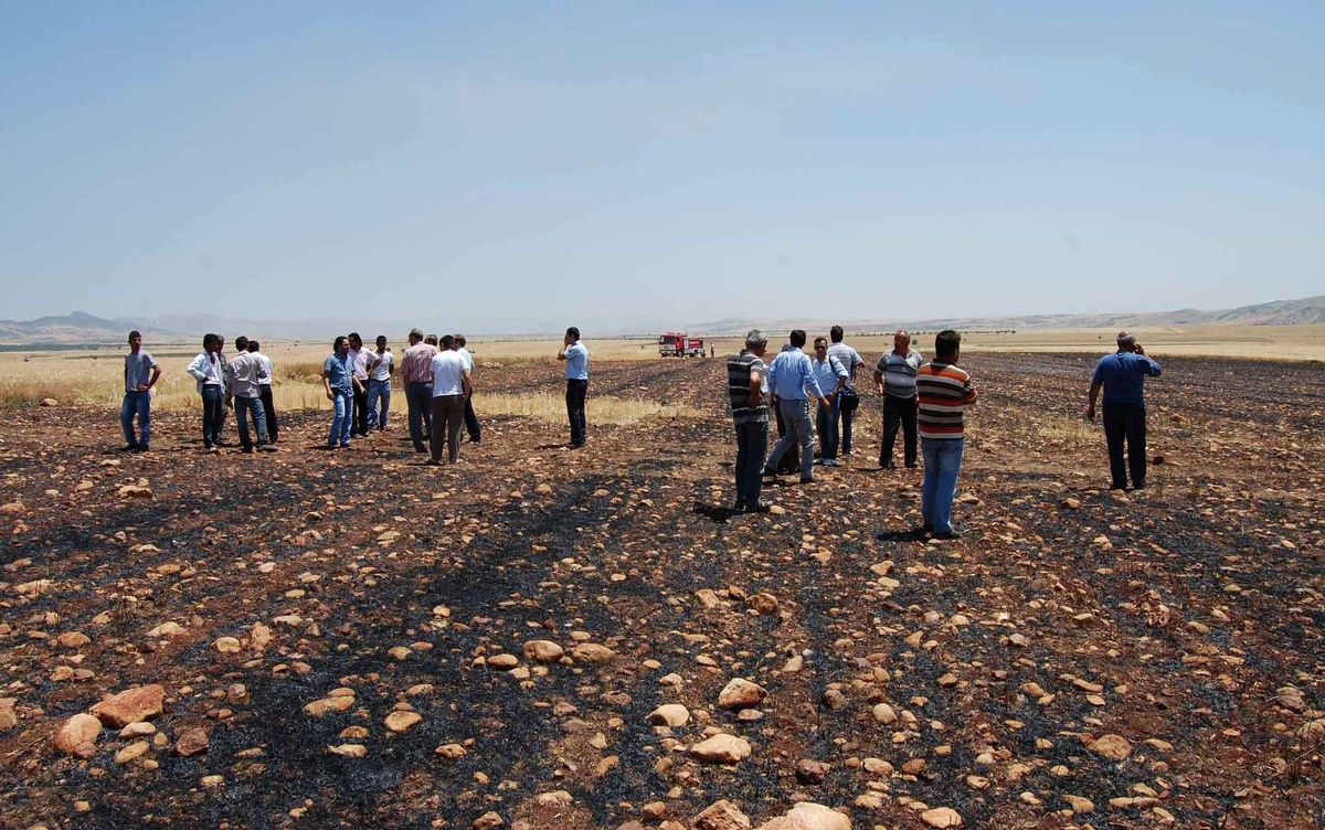 Adıyaman\'da 400 Dönümlük Ekili Alan Kül Oldu