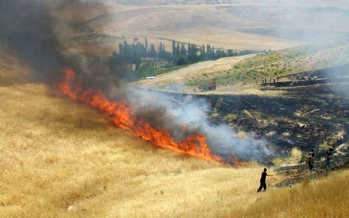 Buğday Ekili Alanda Yangın