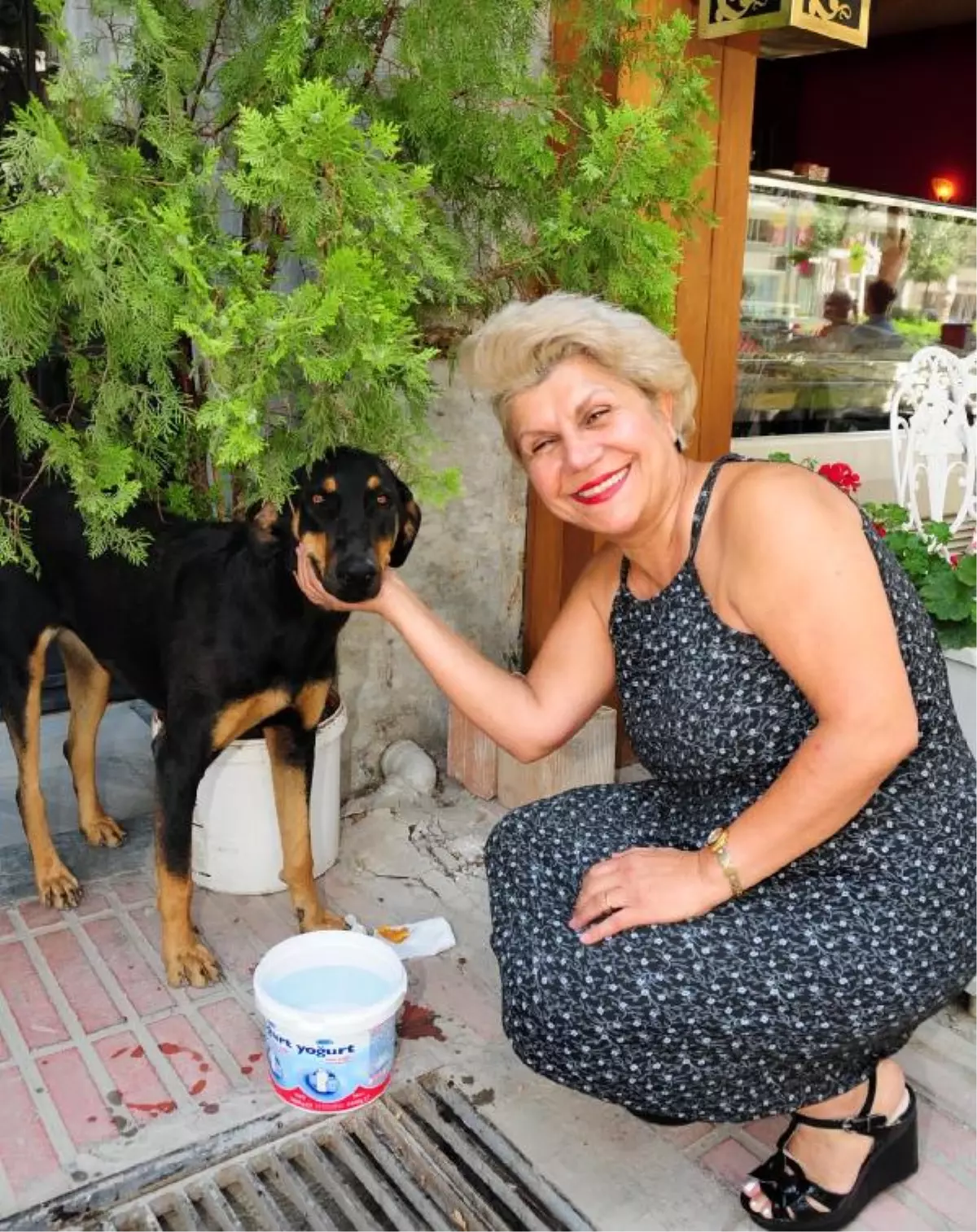 Haytap'tan 'Hayvanlar İçin Bir Kap Su' Çağrısı