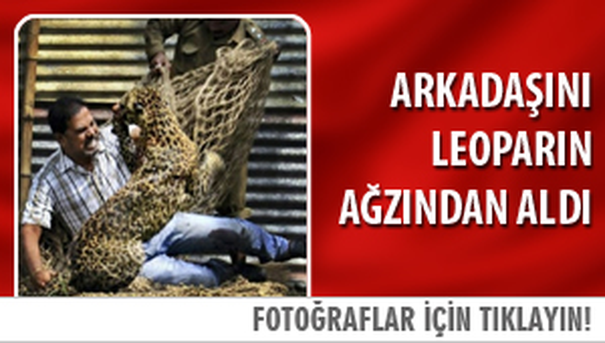 Vahşi Doğada Ağlatan \'Hayvanlık\'