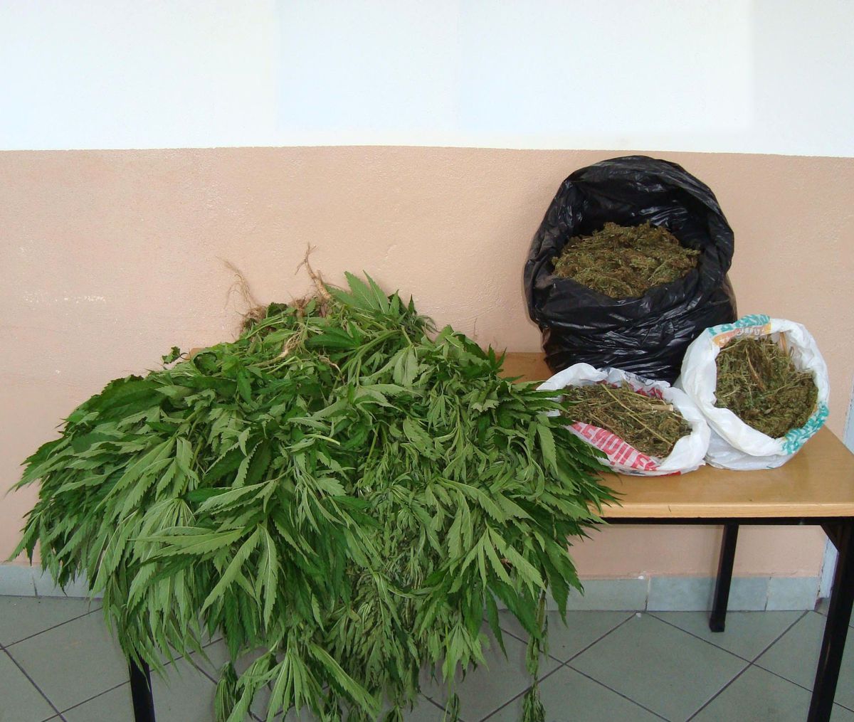 Yapılan Aramada 121 Kök Hint Keneviri ve 3 Kilo 390 Gram Kubar Esrar Ele Geçirildi