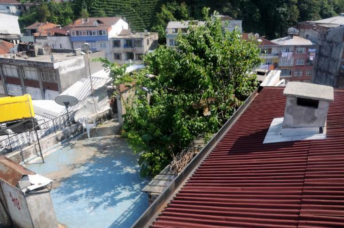 Yaz Geldi, Rize\'de Çatılar Yeşerdi