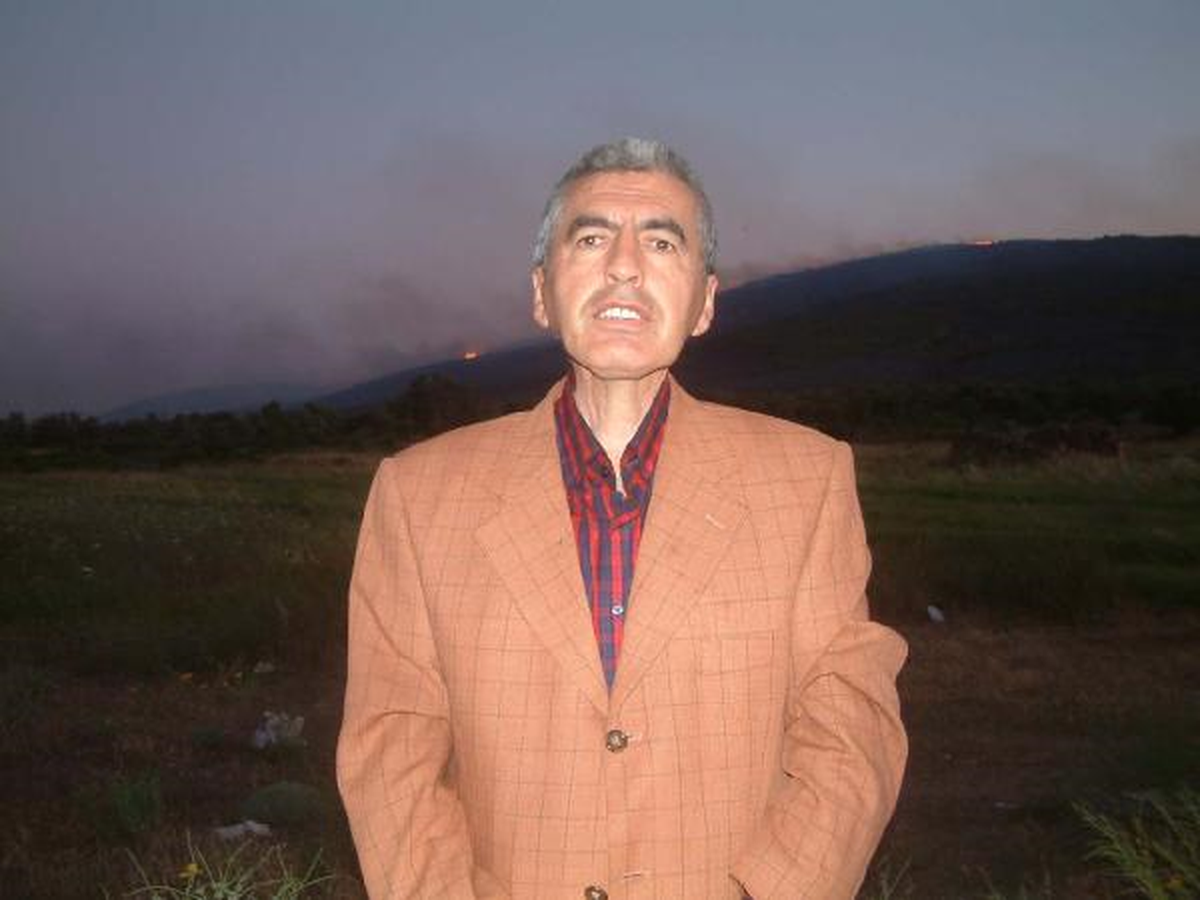 Ayvalık'ta Zeytinlik ve Makilik Alanda Yangın (2)