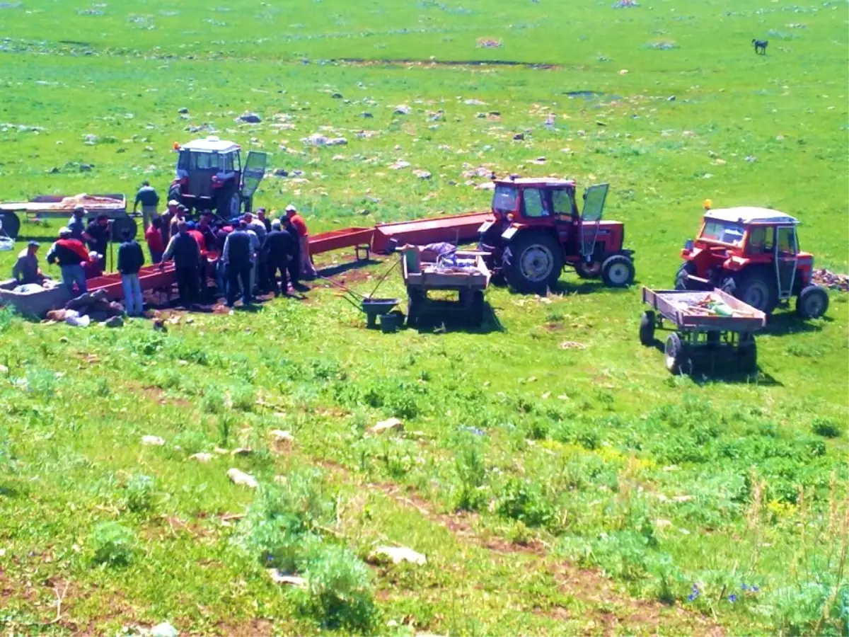 Köylülerin Hayvanlar İçin Su Telaşı