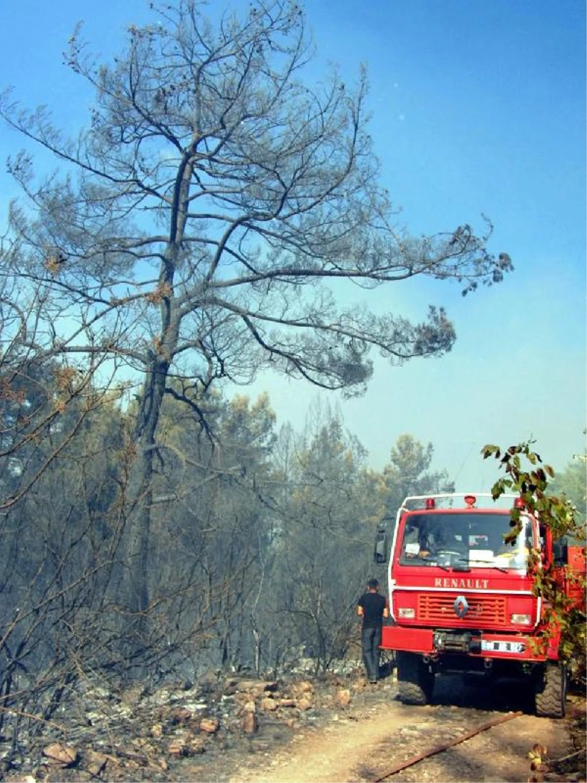 Osmaniye\'de 20 Hektar Kızılçam Ormanı Yandı