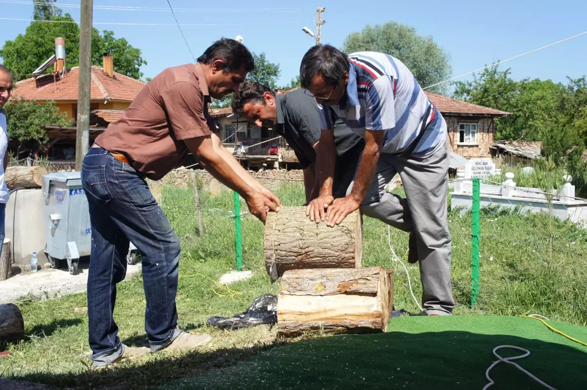 Köylülerin Geçim Kaynağı "Kütükte Kültür Mantarı Yetiştirmesi" Oldu